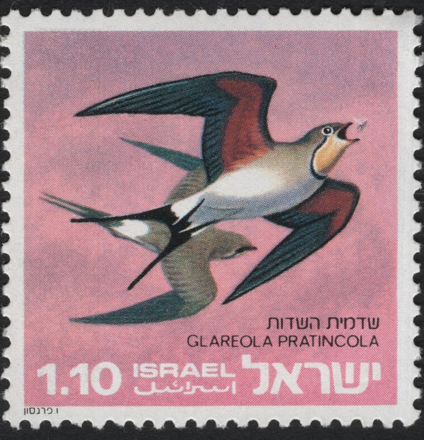 SCG10440 - Israel 1970 – Collared Pratincole (Glareola pratincola) – 1.10 IL Bird Definitive