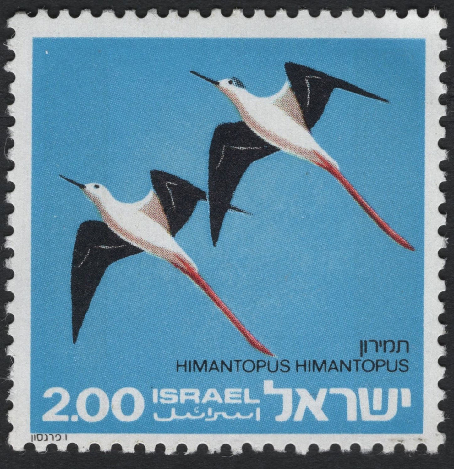 SCG10472 - ๐ฎ๐ฑ Israel โ 1980 Black-winged Stilt (Himantopus himantopus) โ 2.00 IL โ Mint Collector Grade