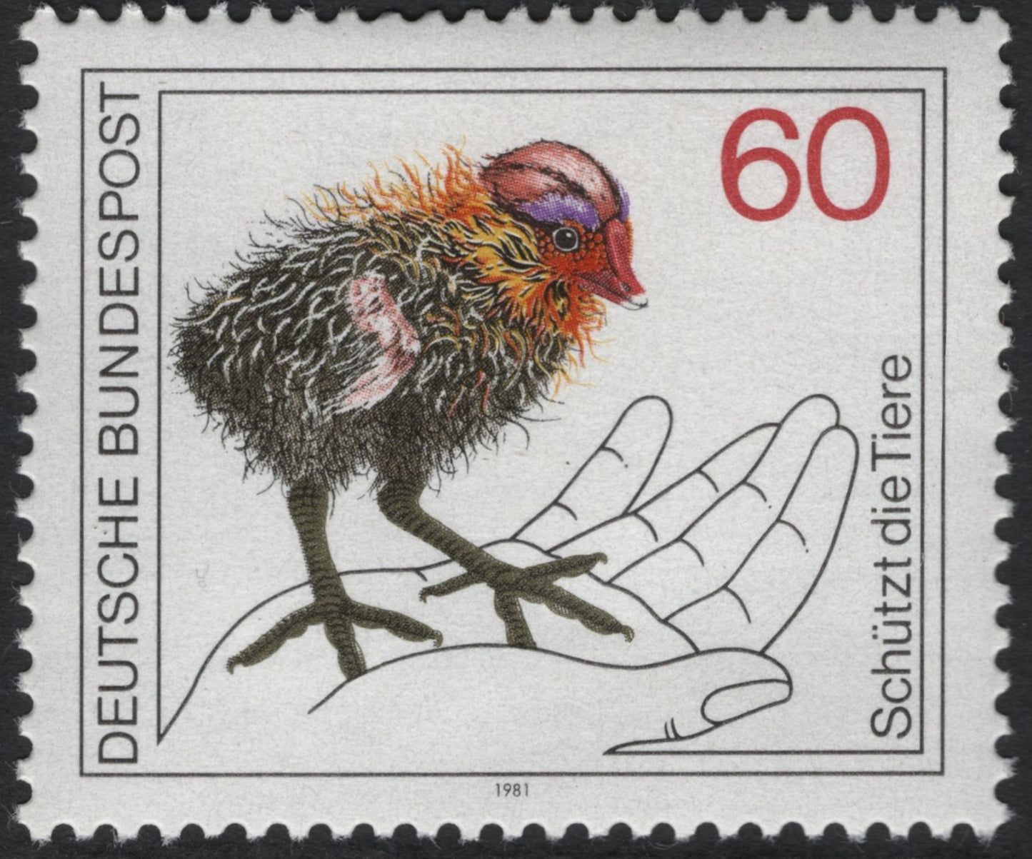 SCG10475 - 🇩🇪 Germany 1981 – “Protect the Animals” (Young Bird on Hand) – 60 Pfennig