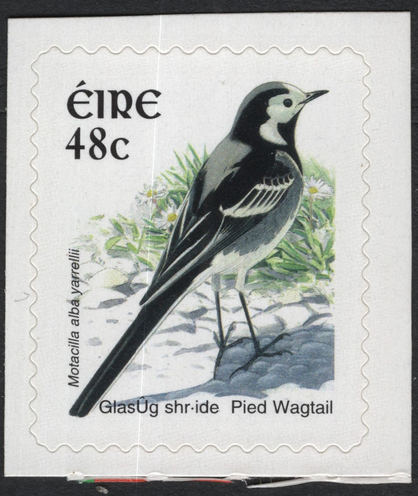 SCG10480 - 🇮🇪 Ireland 48c “Pied Wagtail” Bird Stamp