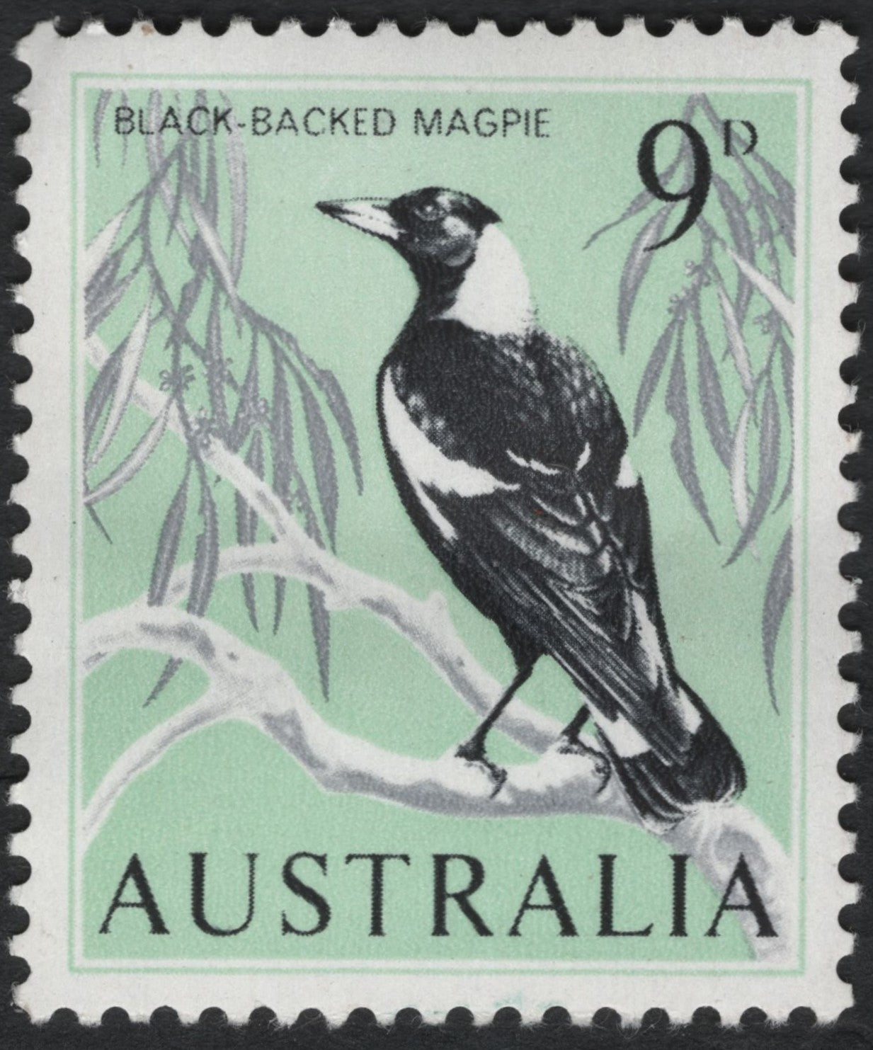 SCG10482 - Australia 1964 Black-Backed Magpie – 9d Definitive Bird Issue
