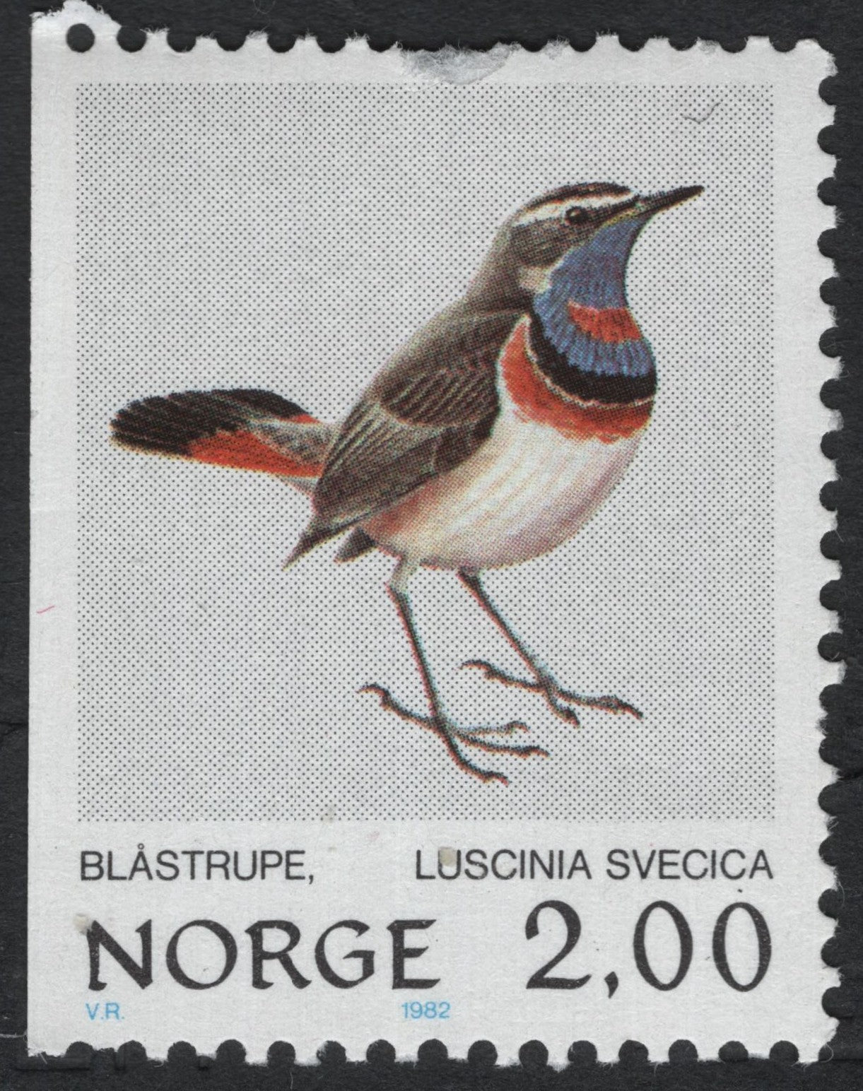 SCG10485 - 🇳🇴 Norway 1982 – Bluethroat (Luscinia svecica) – 2.00 NOK – Mint Collector Listing