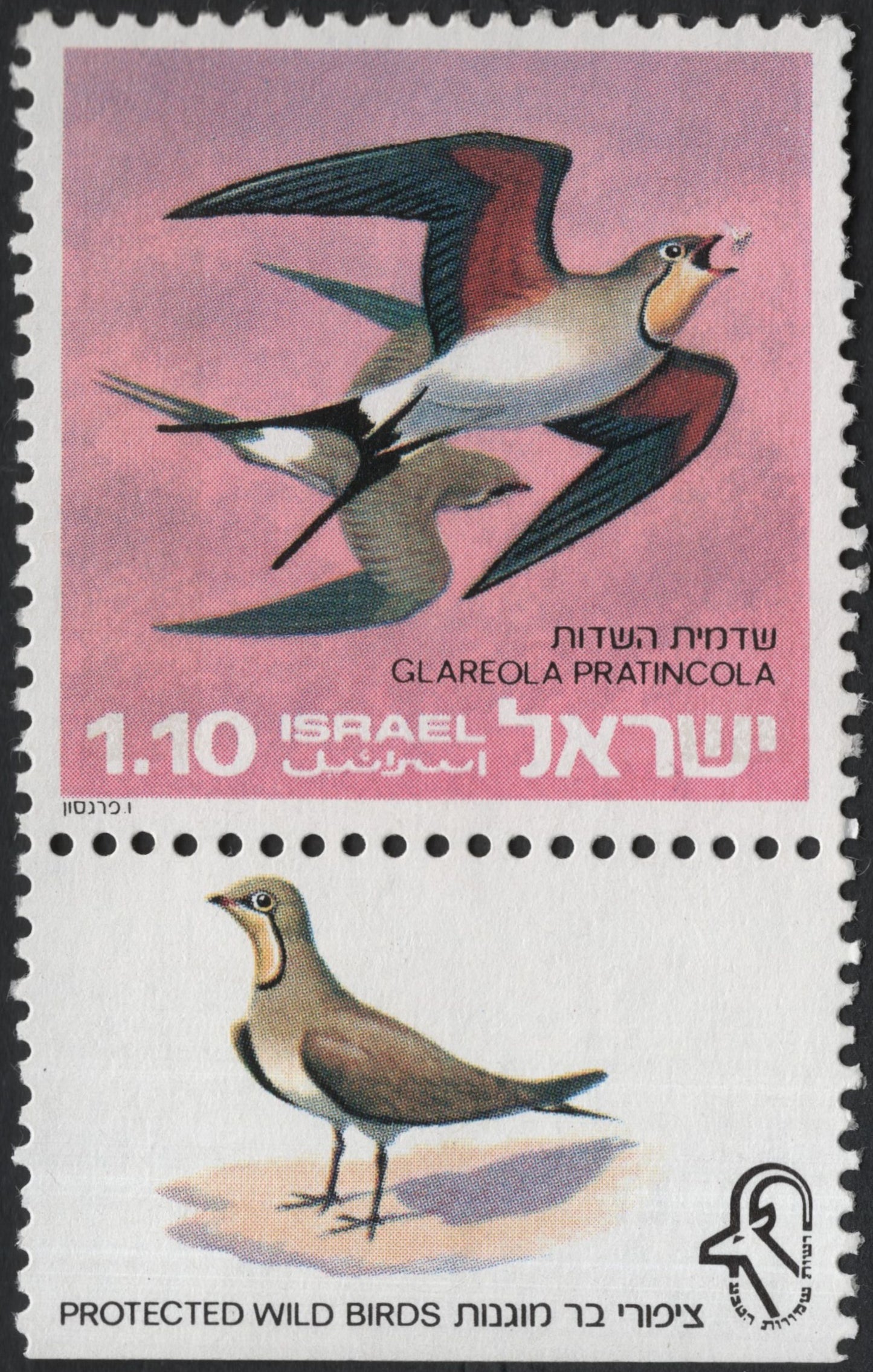 SCG10466 - ๐ฎ๐ฑ Israel 1970 โ Collared Pratincole (Protected Wild Birds) โ 1.10 IL โ Mint Bird Topical