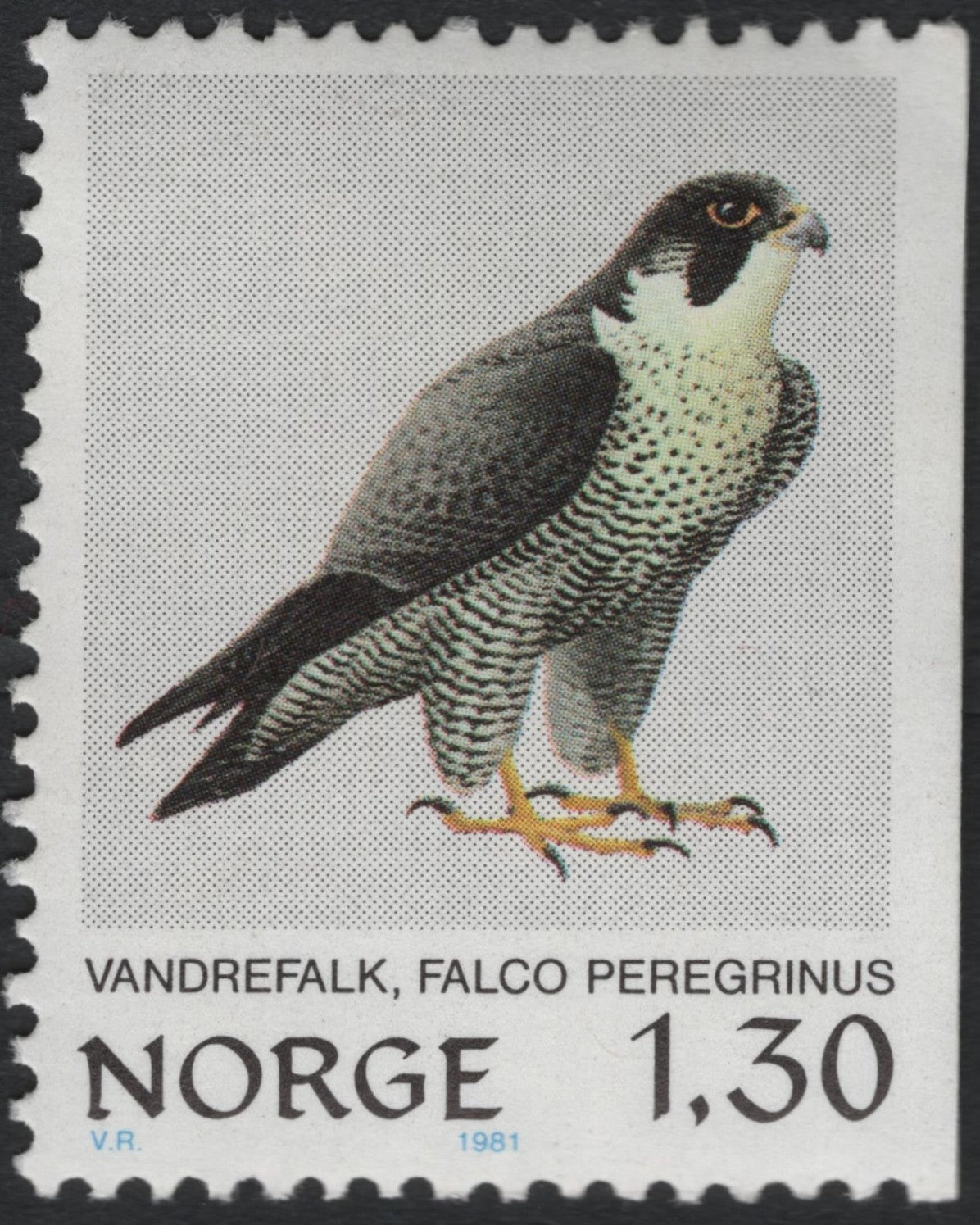 SCG10467 - Norway 1981 Peregrine Falcon “Vandrefalk” – 1.30 kr Definitive