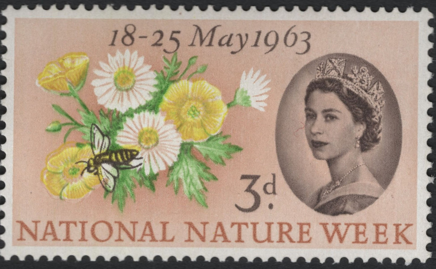 SCG10519 - Great Britain 1963 “National Nature Week” 3d – QEII, Wildflowers & Bee