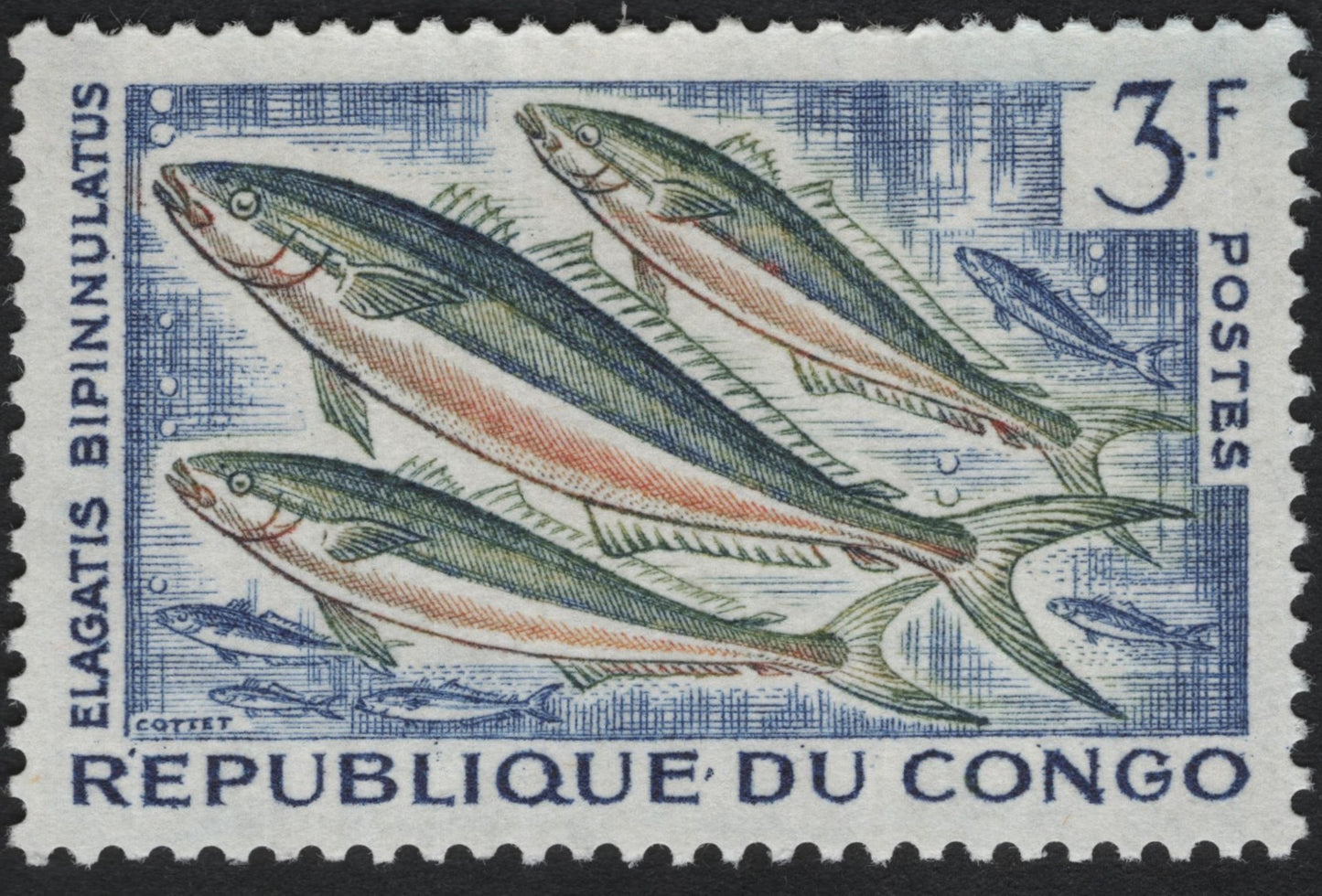 SCG10683 - Republic of Congo 3F Elagatis bipinnulatus Marine Life Stamp