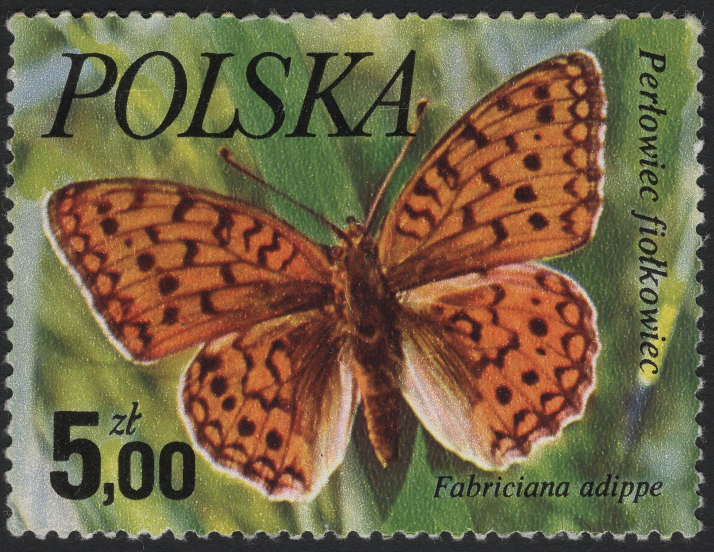 SCG10825 - Poland 1990s – High Brown Fritillary (Fabriciana adippe) 5 zł Butterfly Stamp