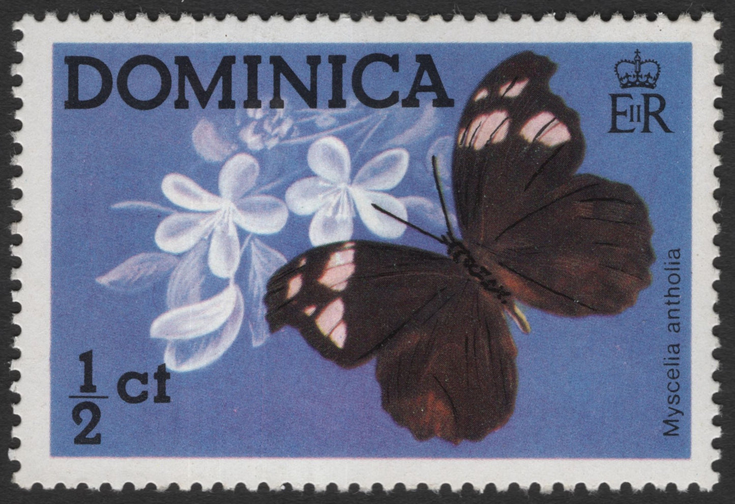 SCG12038 - Dominica Myscelia antholia Butterfly Definitive Stamp