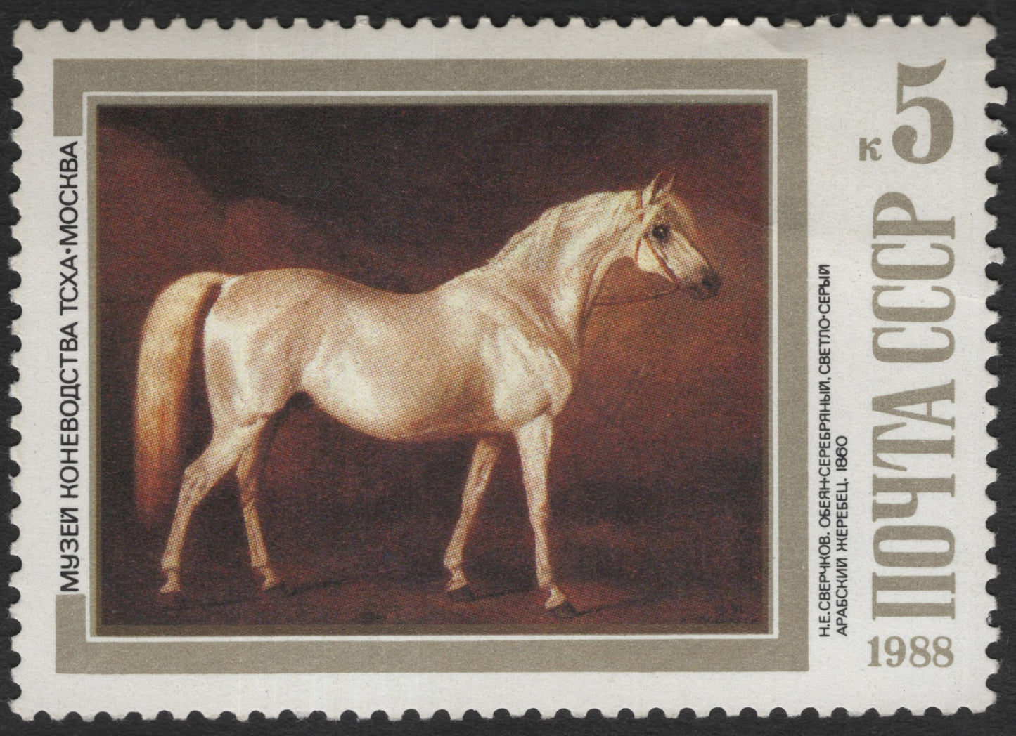 SCG12028 - USSR 1988 Arabian Horse – Timiryazev Museum Art Stamp (5k)