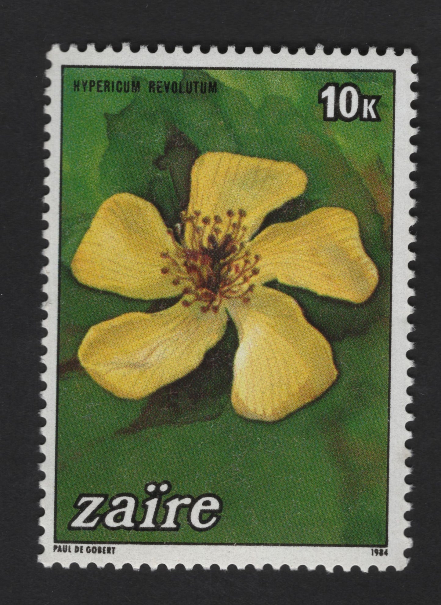 SCG13892 - Zaire 1984 – Hypericum revolutum Botanical Flower 10K Stamp