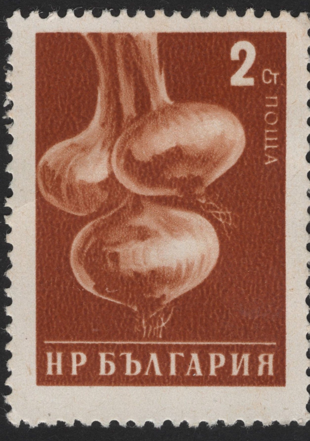 SCG13881 - Bulgaria 2 Ct Garlic Bulbs Definitive Stamp