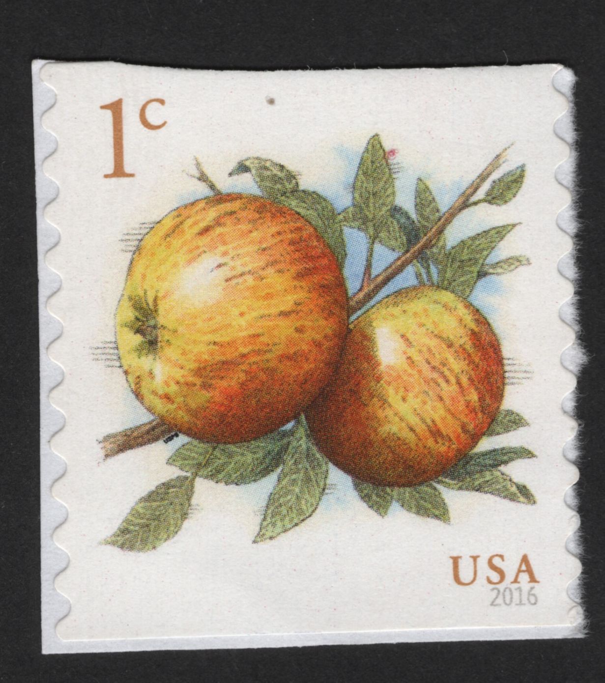 SCG13962 - USA 2016 – Apples (1¢ Fruit Definitive Stamp)
