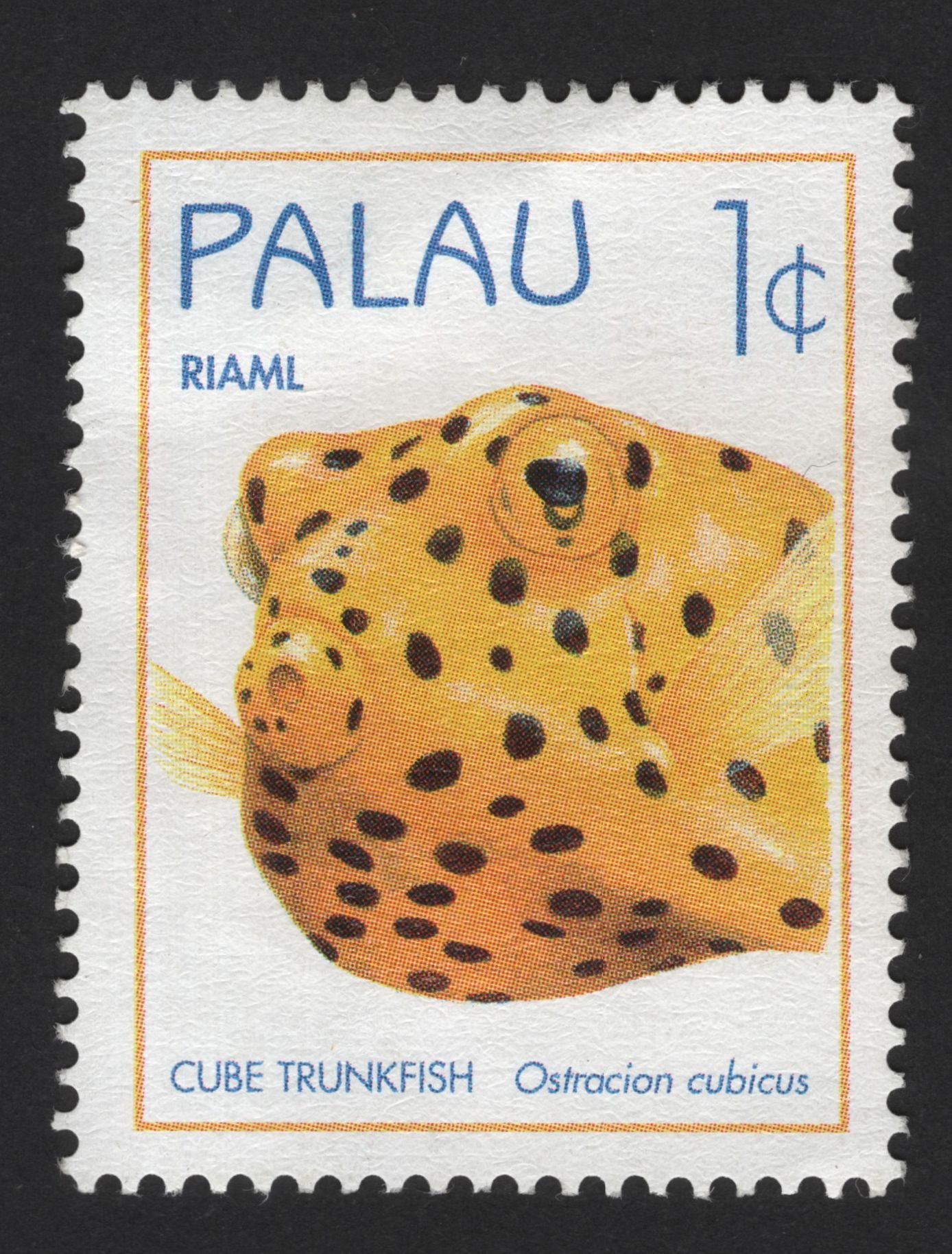 SCG13998 - Palau 1¢ Cube Trunkfish (Ostracion cubicus) – Marine Life Issue
