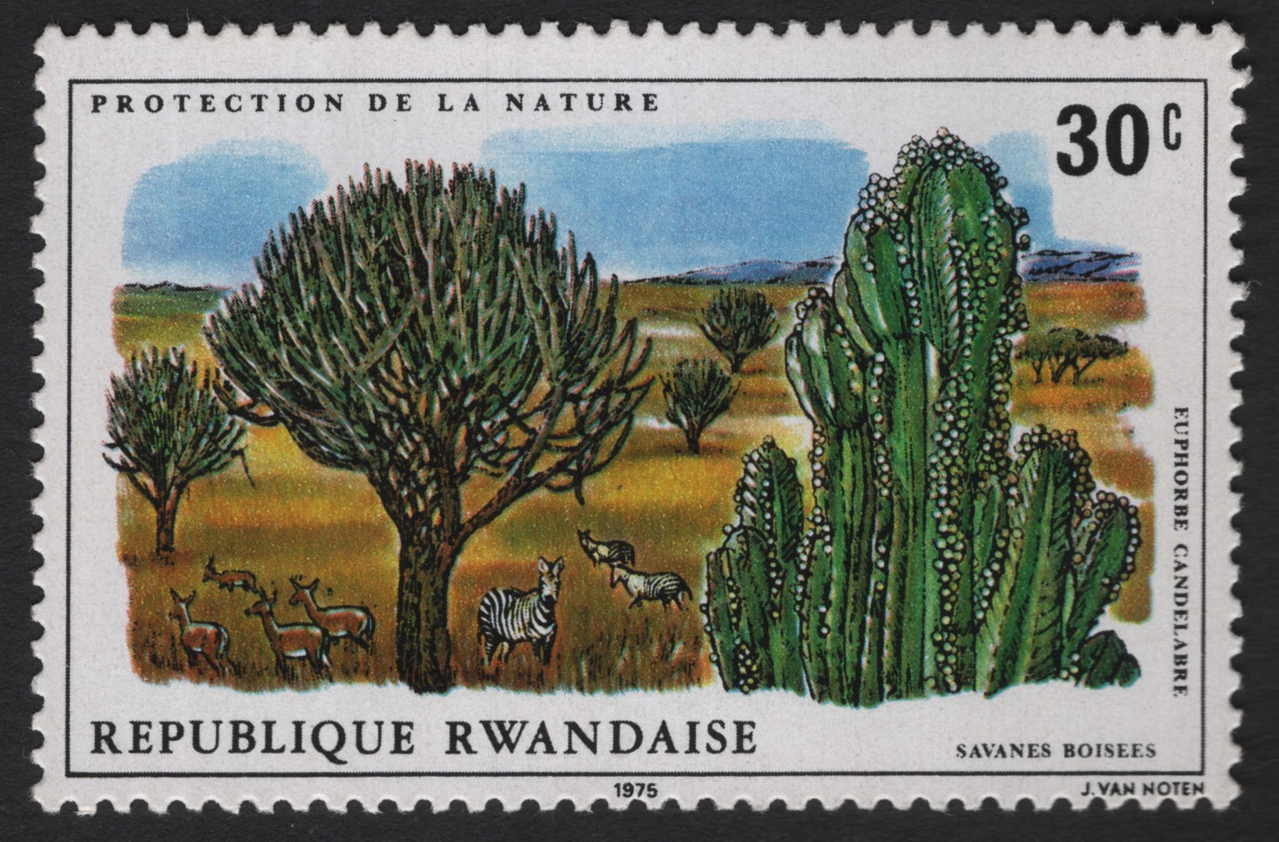 SCG7243 - Rwanda 1975 – “Protection de la Nature: Euphorbe Candelabre”