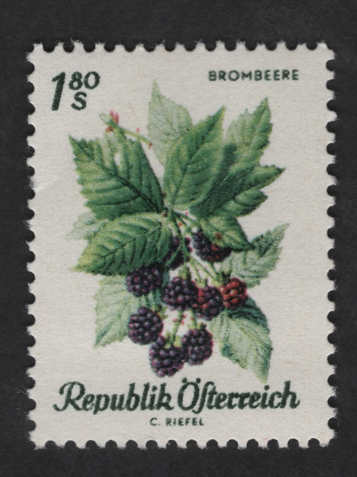 SCG12896 - Austria 1.80S Blackberry (Brombeere) Botanical Definitive Stamp