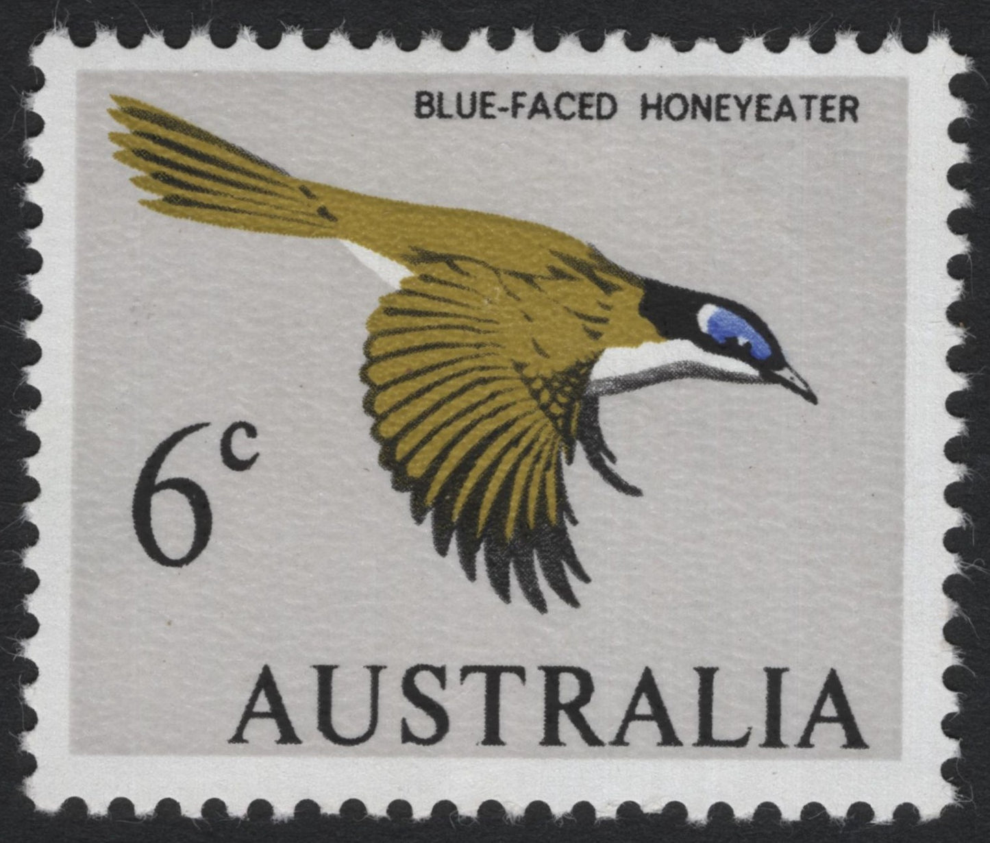 SCG6840 - Australia – Blue-faced Honeyeater (6¢, c. 1966)