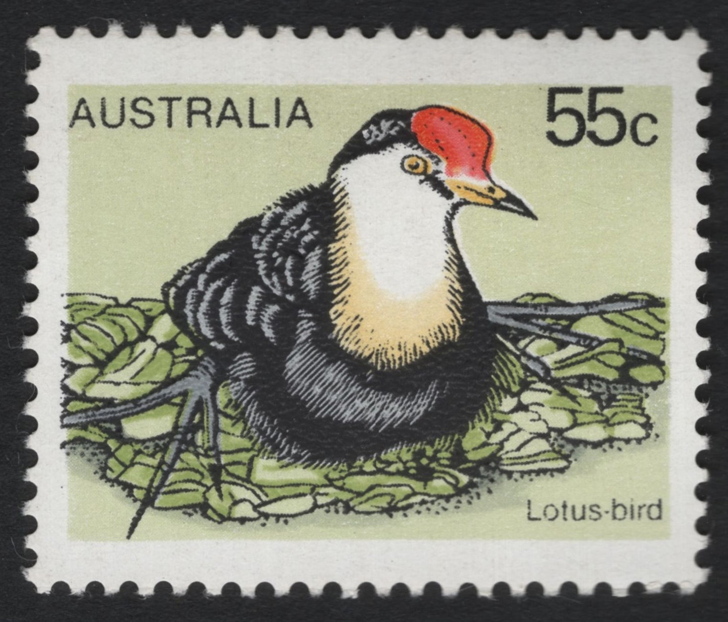 SCG6864 - Australia 55c “Lotus-bird” (Comb-crested Jacana)