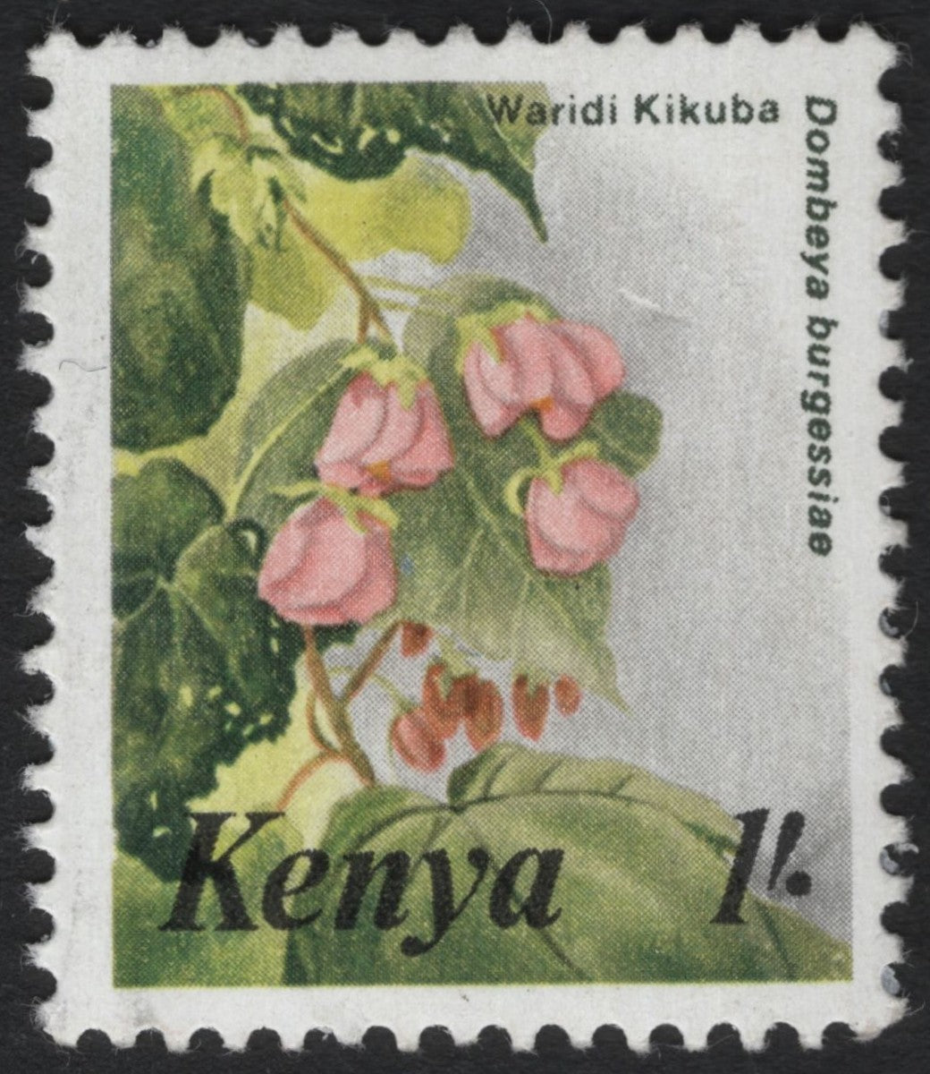 SCG6827 - Kenya – “Waridi Kikuba” (Dombeya burgessiae) – 1 Shilling