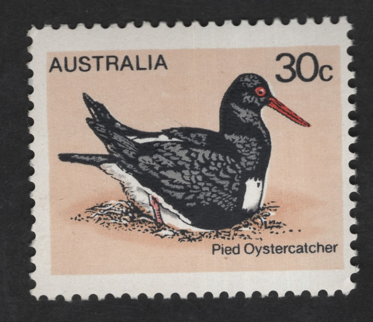 SCG12915 - Australia 30c Pied Oystercatcher – Native Coastal Bird Definitive Stamp