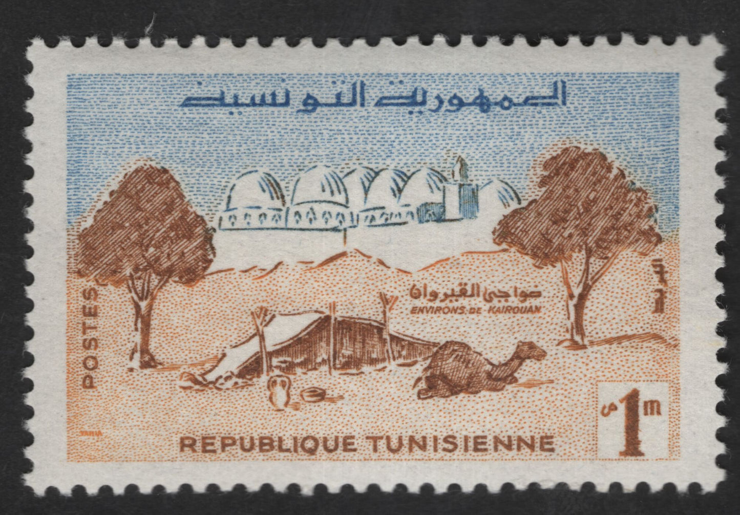 SCG12910 - Tunisia – Environs of Kairouan Desert Landscape Definitive (1m)