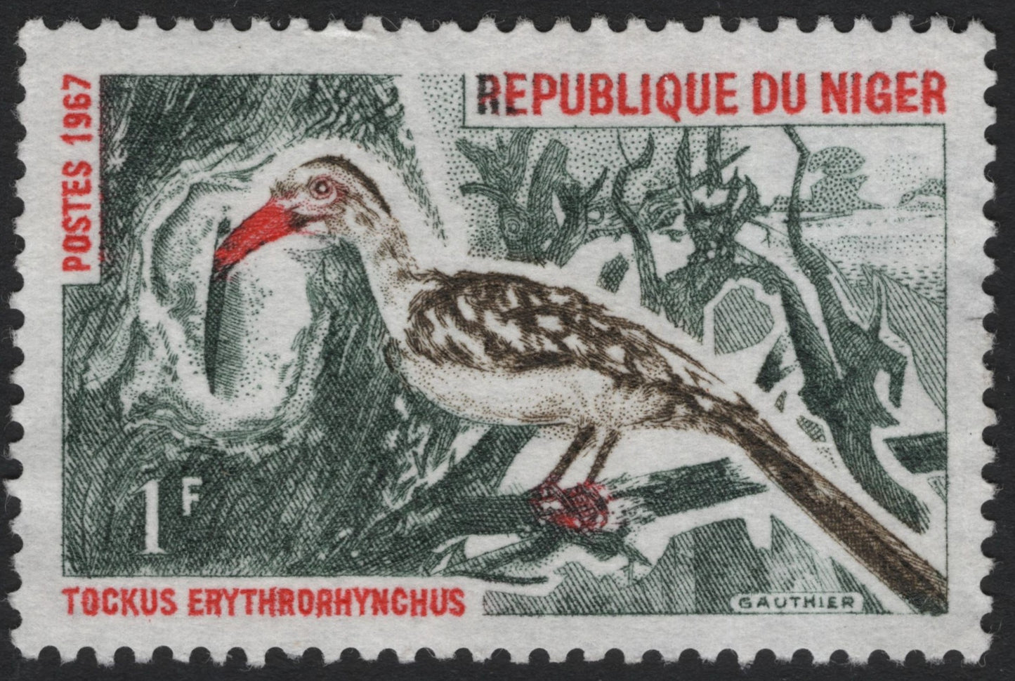 SCG6996 - Niger 1967 – Red-billed Hornbill (Tockus erythrorhynchus)
