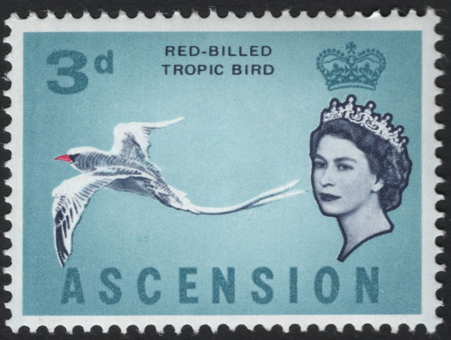 SCG7002 - Ascension 3d “Red-Billed Tropic Bird” (1956–1959)