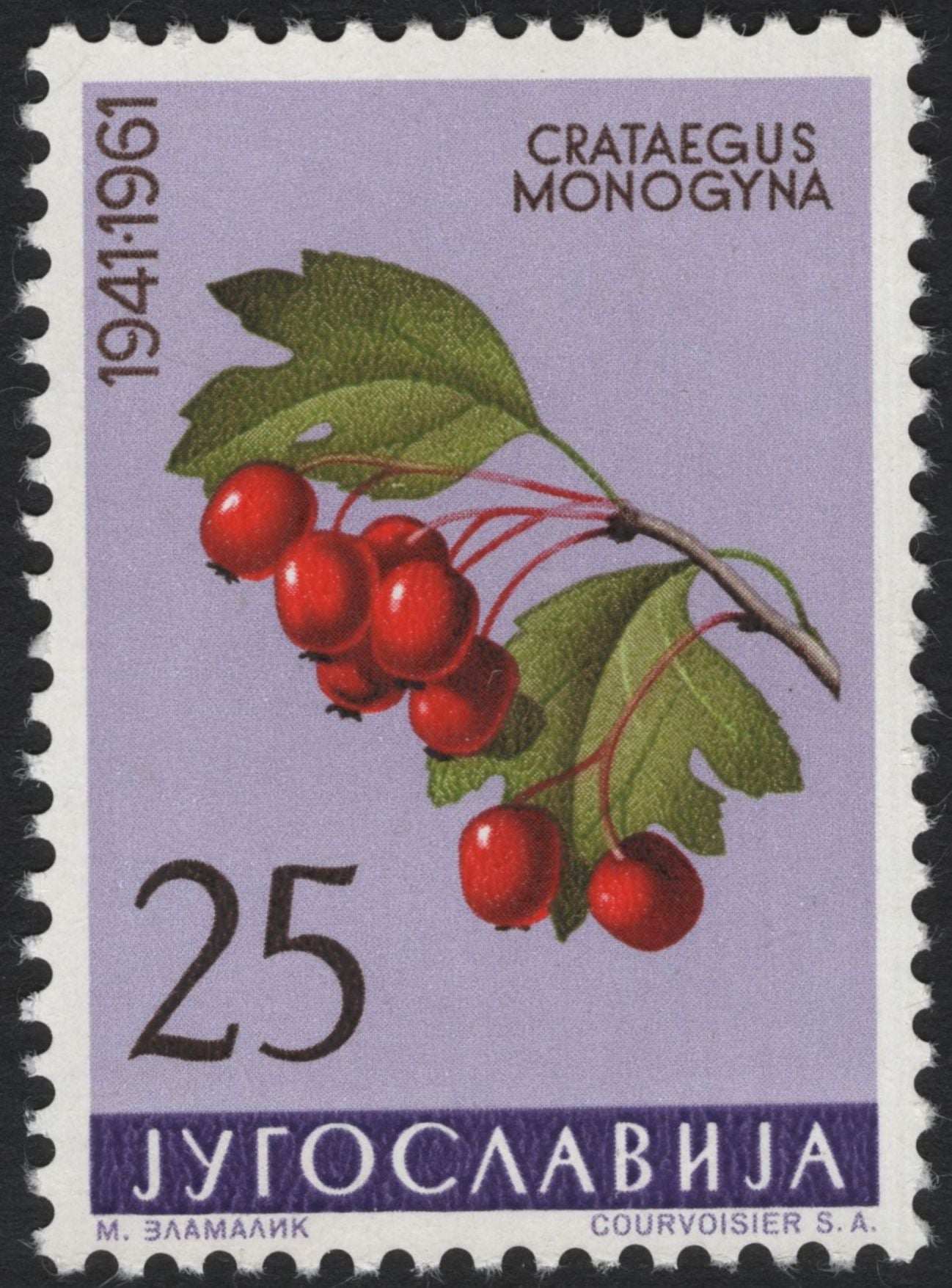 SCG10051 - Yugoslavia 1961 “Medicinal Plants” Complete Set (5 Stamps)
