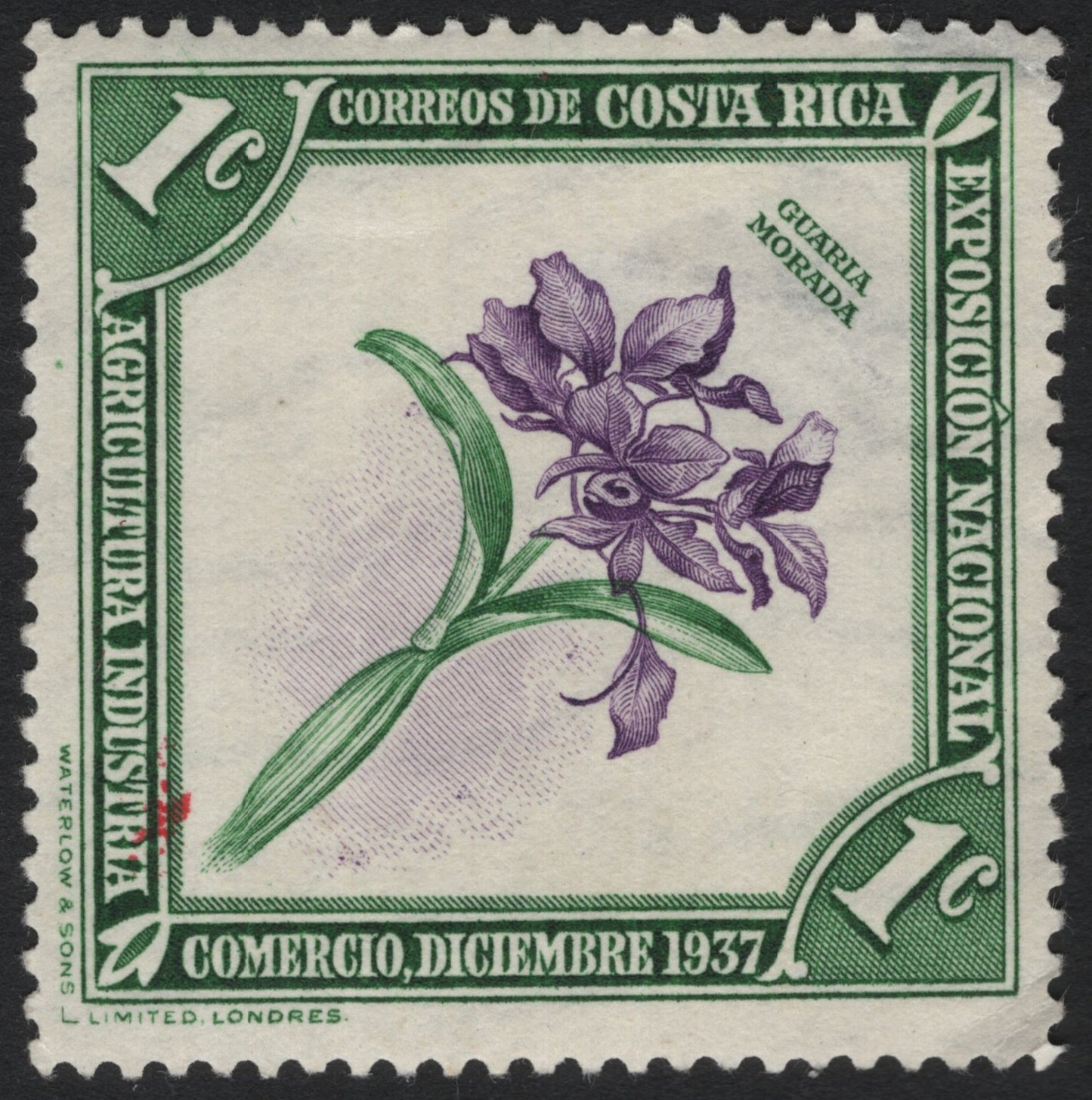 SCG6462 - Costa Rica 1937 National Exposition – Guaria Morada Orchid
