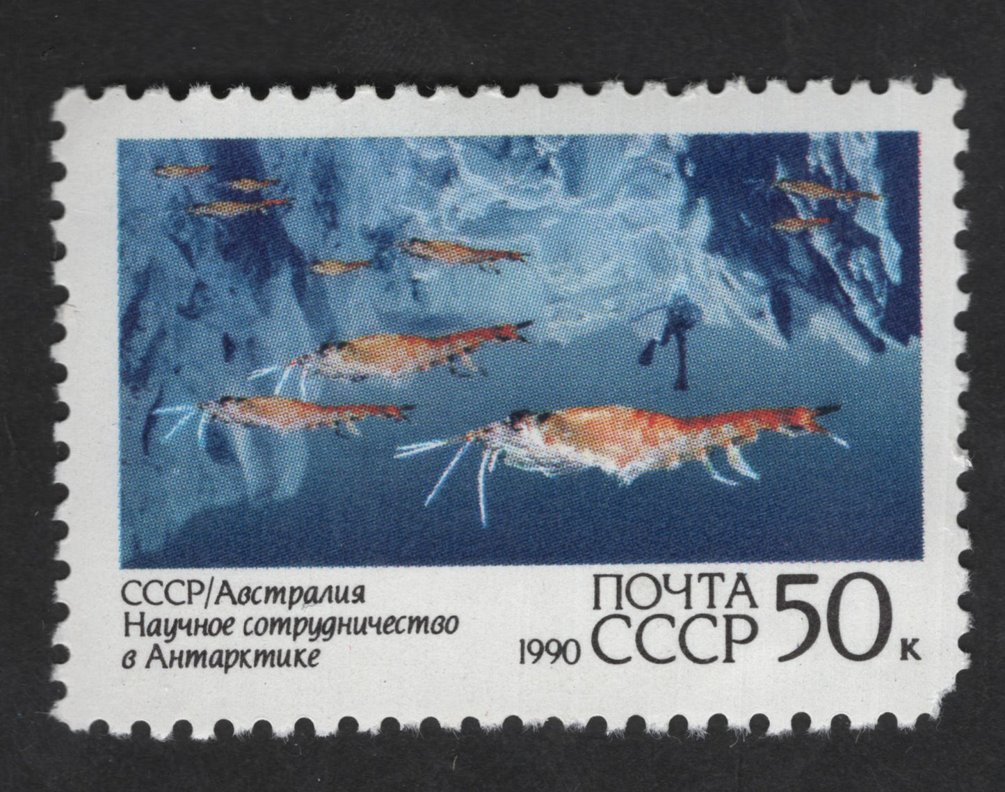 SCG12975 - USSR 1990 Scientific Cooperation in Antarctica – Antarctic Krill 50 Kopeks