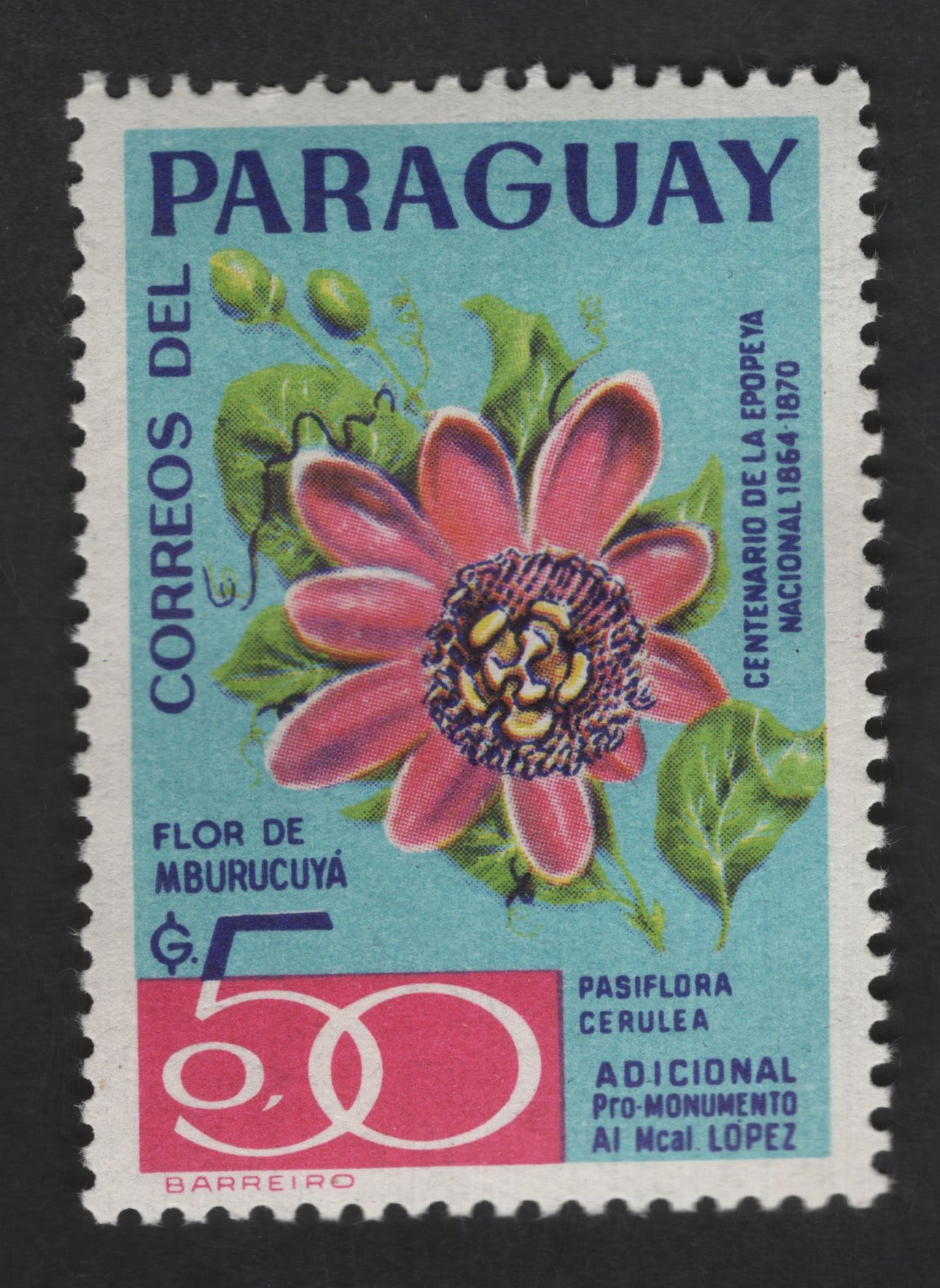 SCG13004 - Paraguay 1970 – Flor de Mburucuyá (Passiflora caerulea) Pro-Monumento Stamp