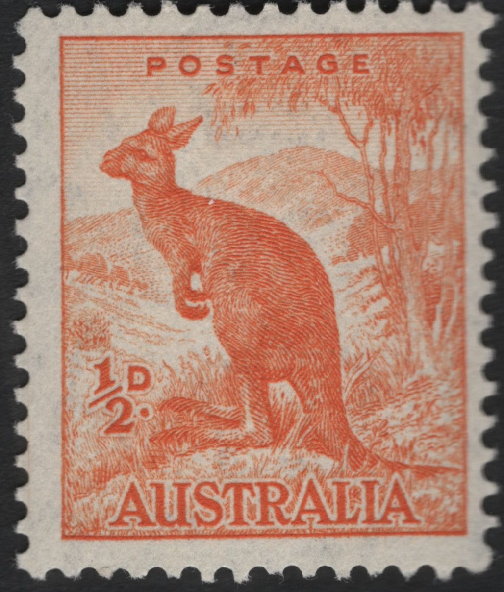 SCG10883 - 🇦🇺 Australia – ½d Kangaroo Definitive (Red-Orange)