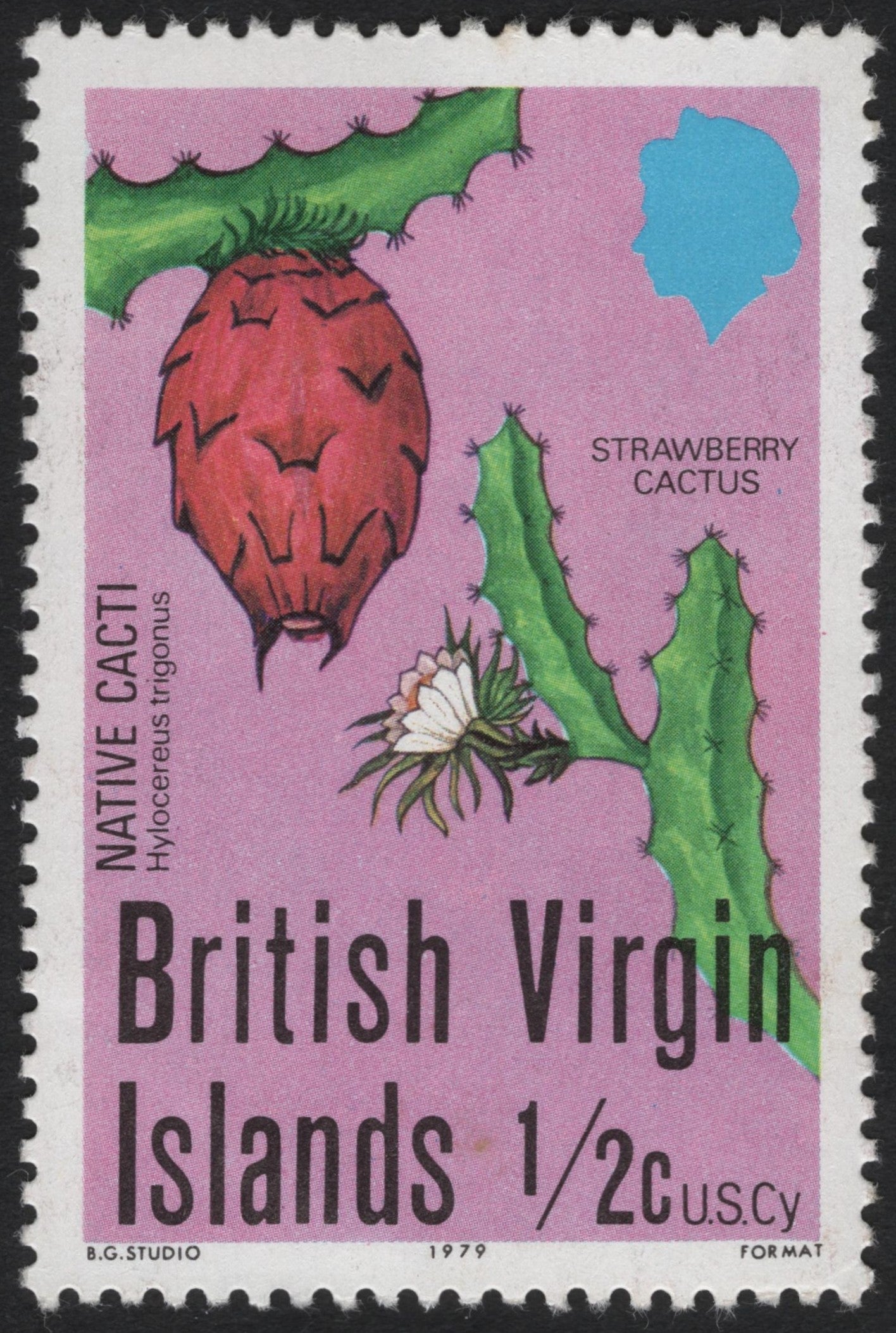 SCG9970 - British Virgin Islands 1979 – ½c “Strawberry Cactus” (Native Cacti Series)