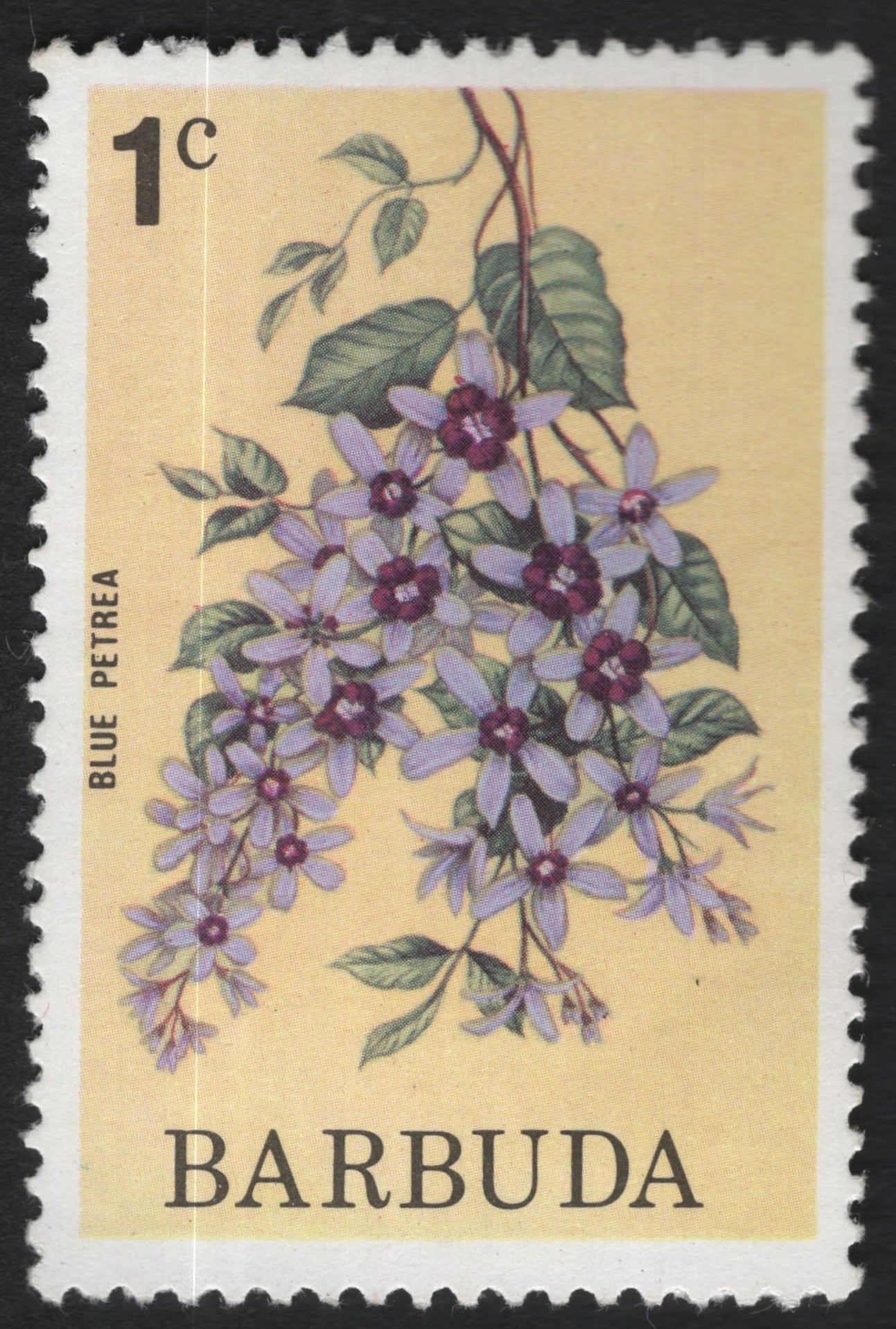 SCG9965 - Barbuda 1c Blue Petrea – Floral Definitive