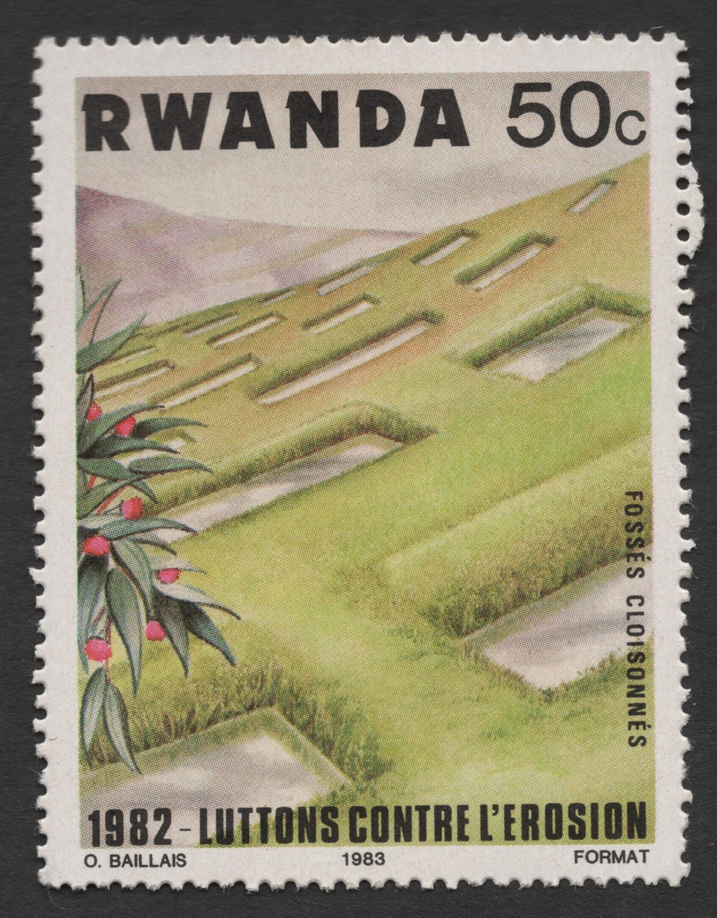 SCG398 - Rwanda 1983 Fight Against Erosion 50c Stamp