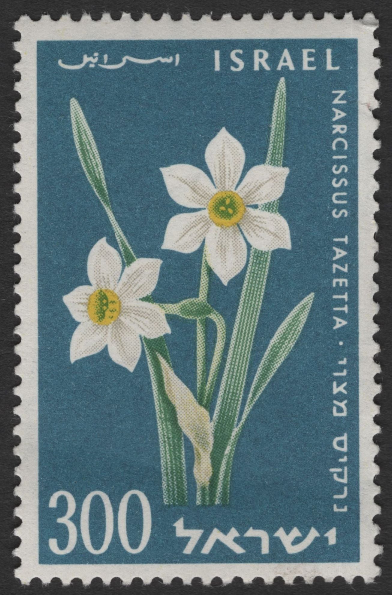 SCG11763 - Israel Native Wildflowers – Pancratium maritimum & Narcissus tazetta Stamp Pair
