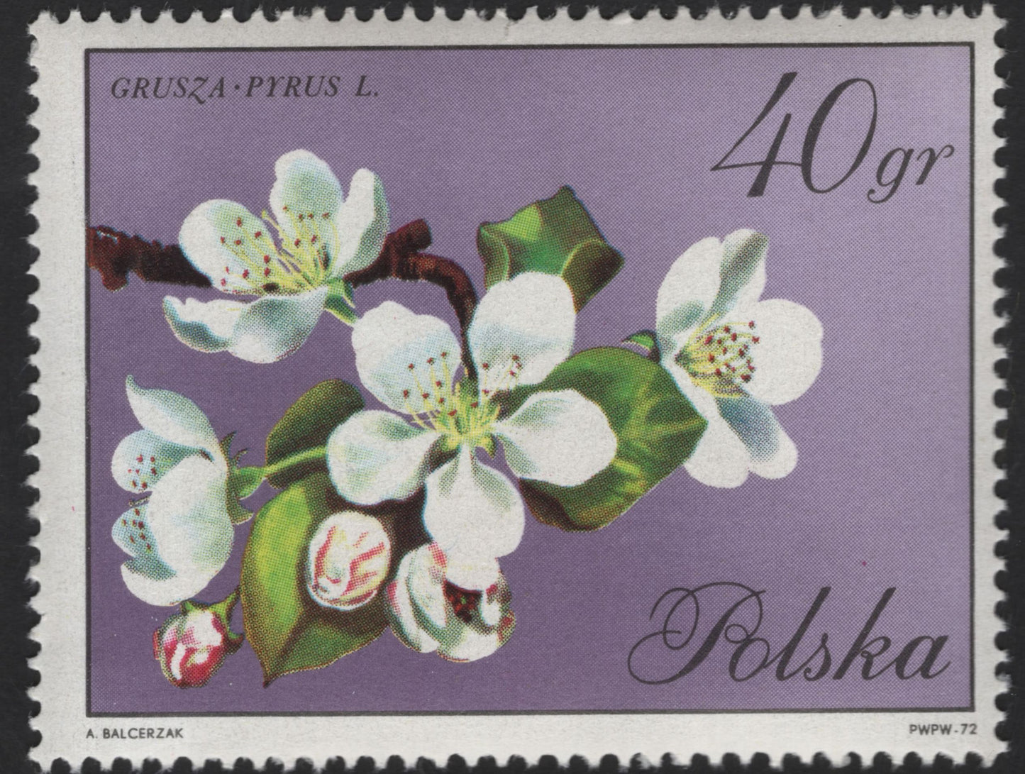 SCG13255 - Poland 1972 Blossoming Fruit Trees – Cherry & Pear Flowers