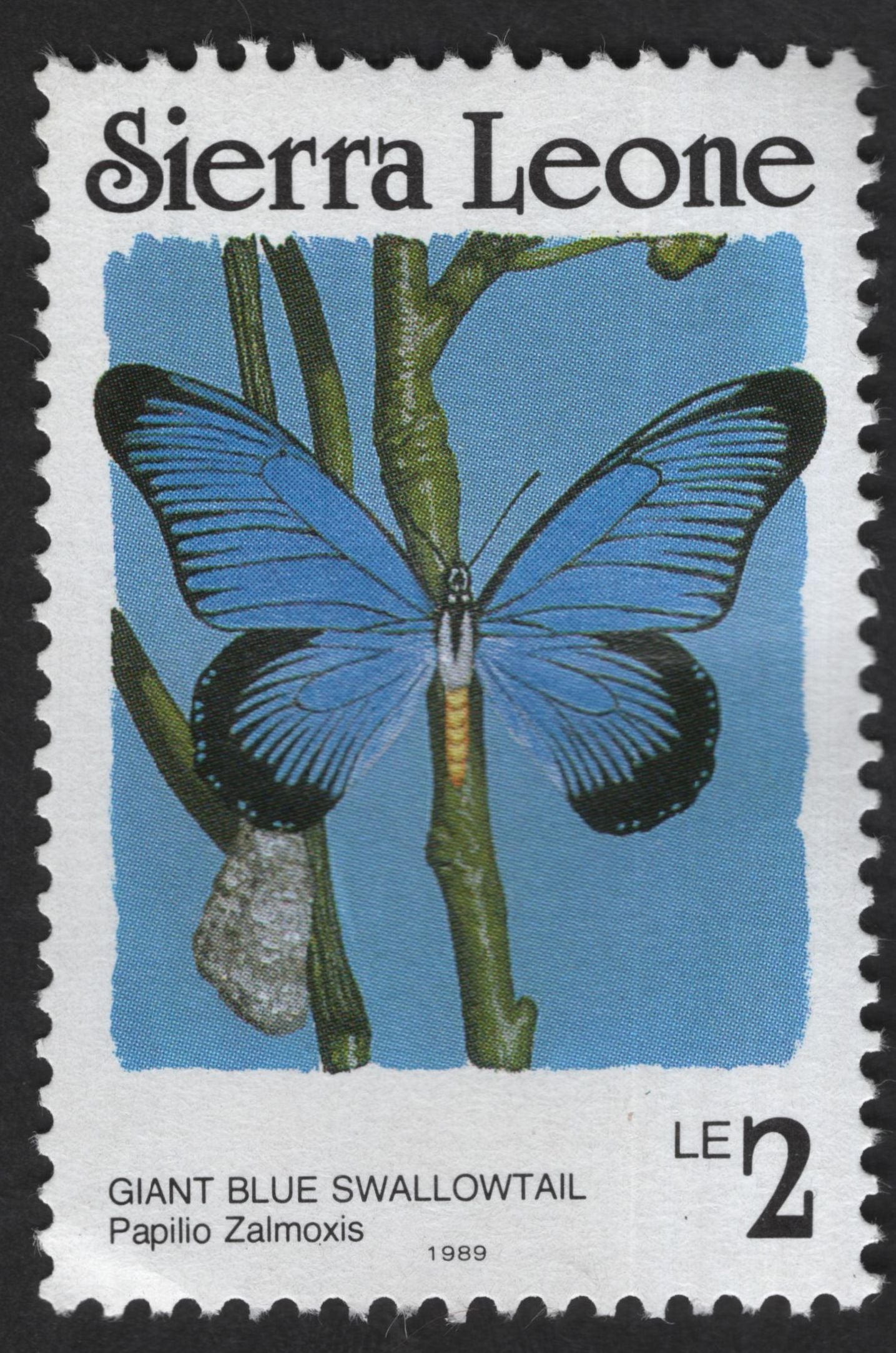 SCG13017 - Sierra Leone 1989 Butterfly Definitive Stamp Set – African Swallowtails Collection