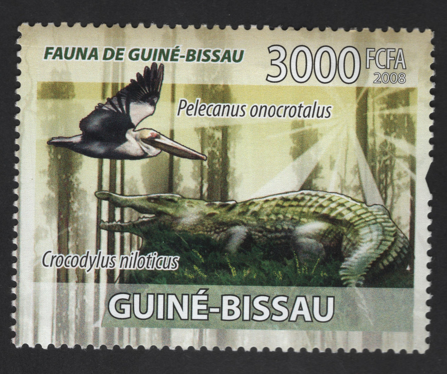 SCG13595 - Guinea-Bissau 2008 Fauna – Pelican & Nile Crocodile 3000 FCFA