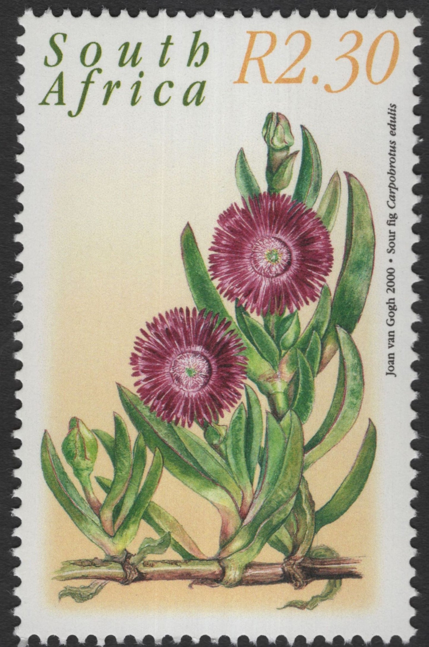 SCG11858 - South Africa 2000 Indigenous Wildflowers Definitive Set (R2.30 Values)