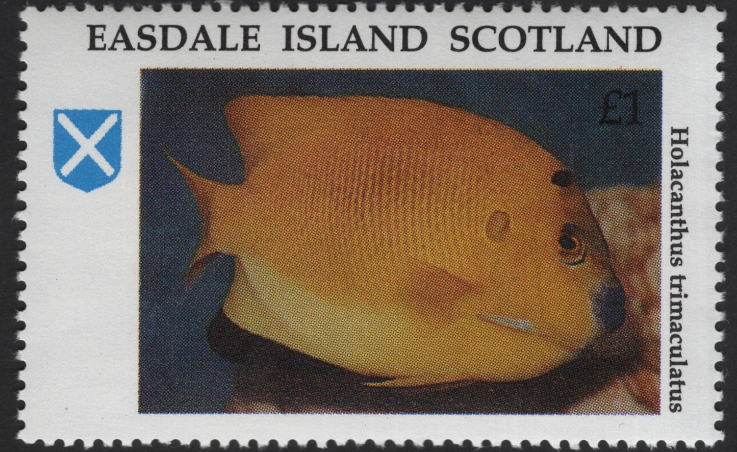 SCG13095 - Easdale Island Scotland Tropical Fish Local Post Stamp Set