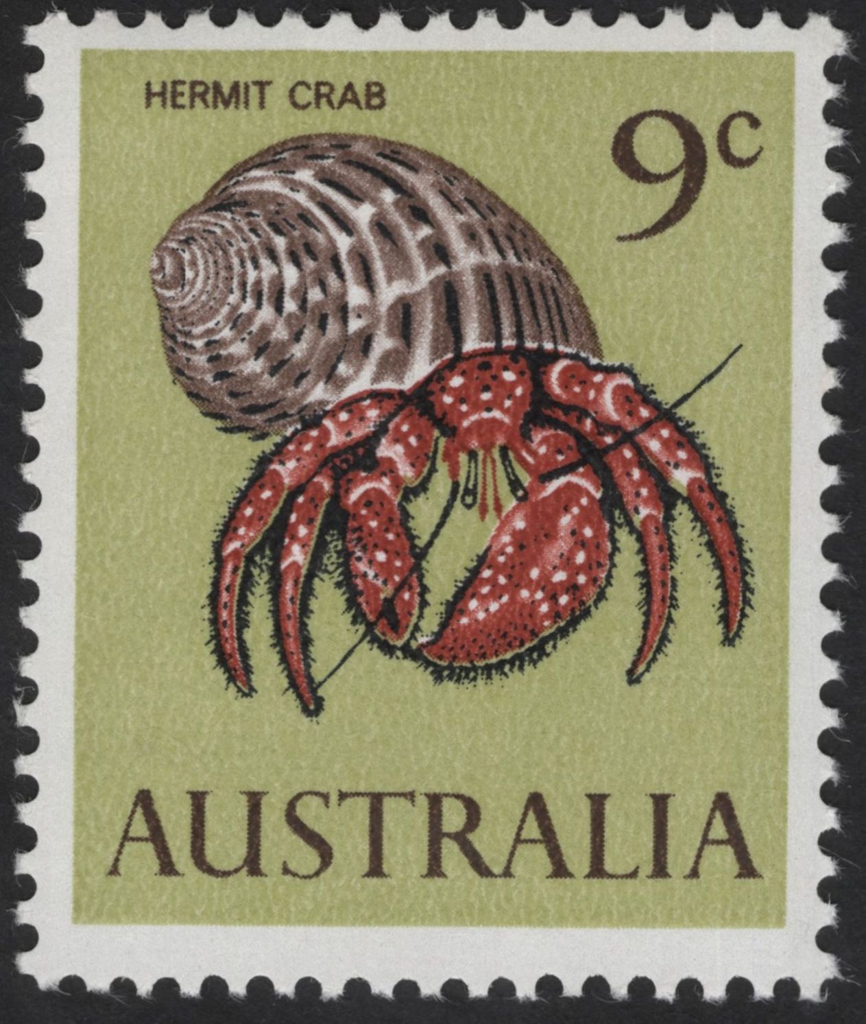 SCG13101 - Australia 9c Hermit Crab – Marine Life Definitive