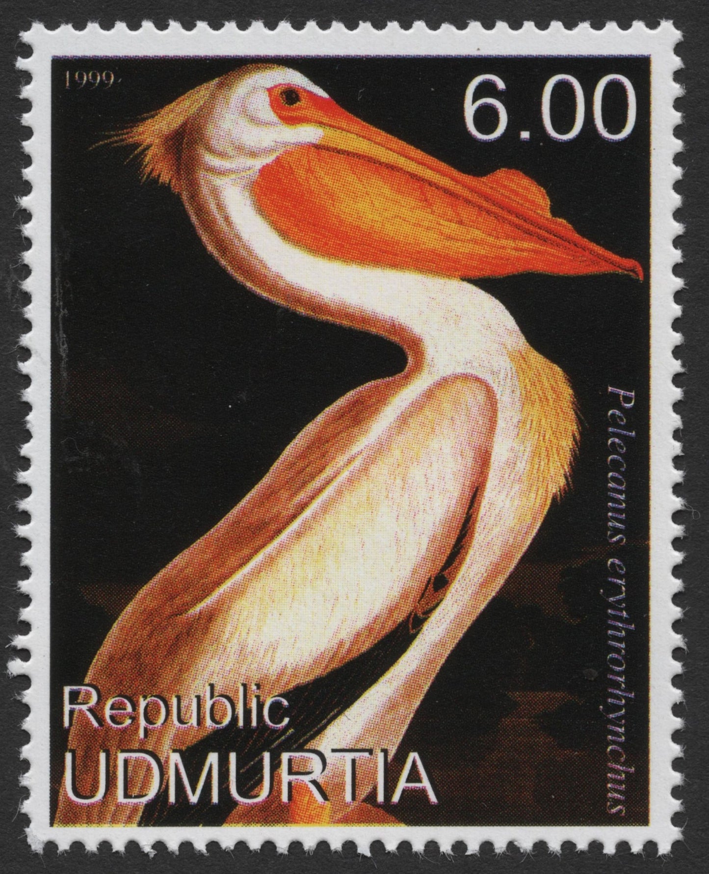 SCG511 - Udmurtia Wildlife Series – Great White Pelican Stamp