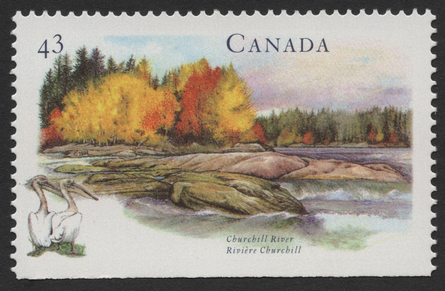SCG507 - Canada Churchill River Pelicans Stamp (1984)