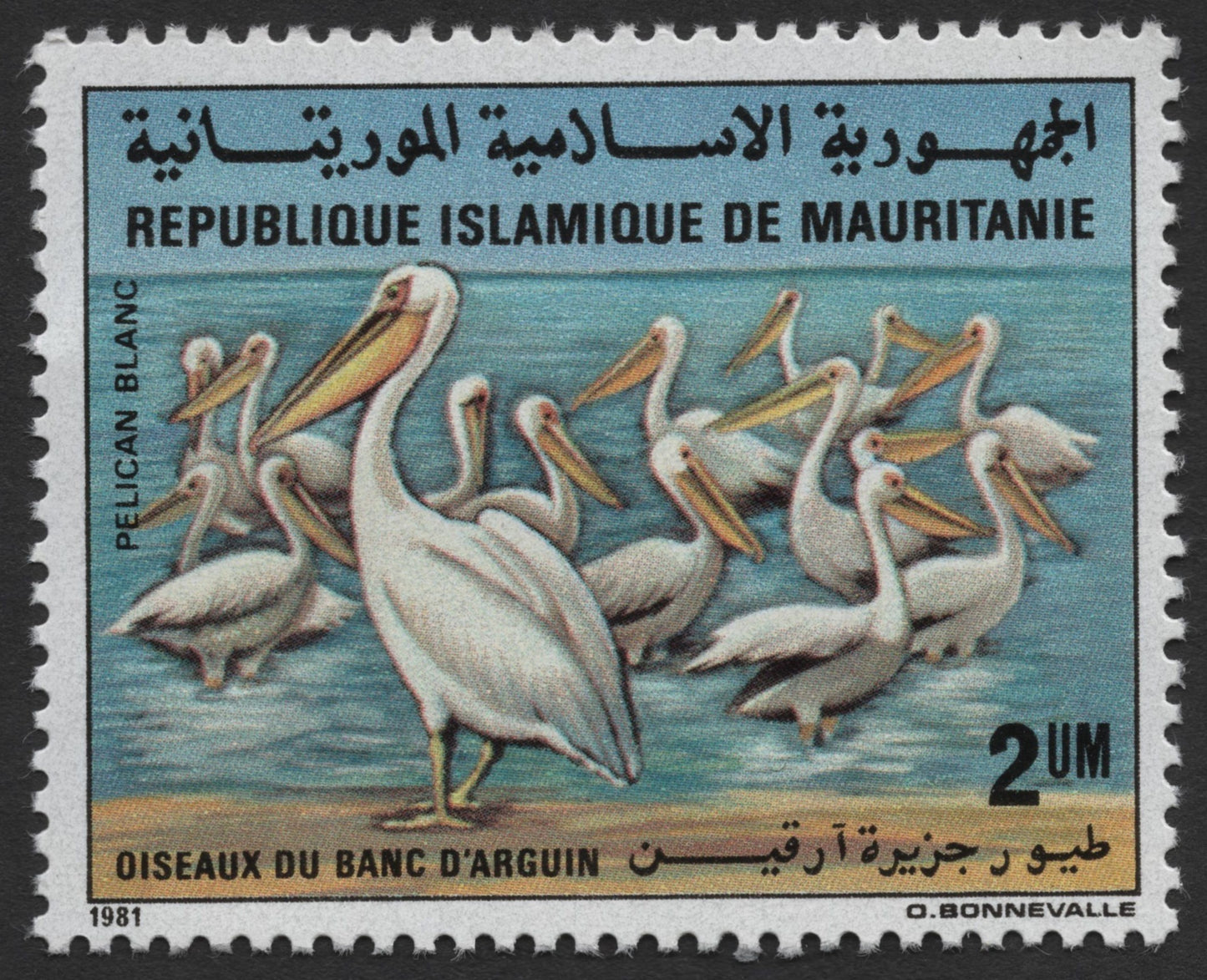 SCG509 - Mauritania 1981 White Pelican 2 UM Stamp – Birds of Banc d’Arguin