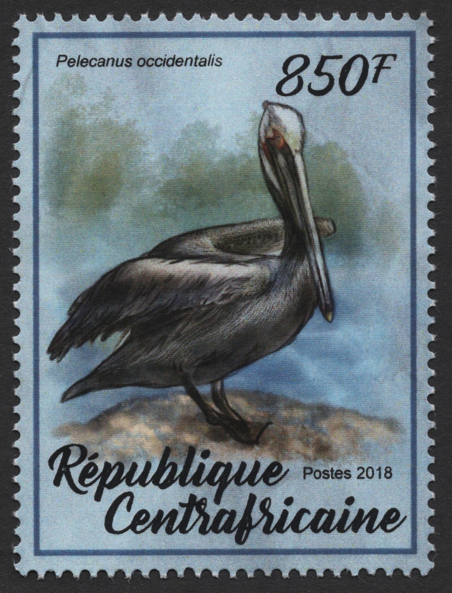 SCG510 - Central African Republic 2018 - Brown Pelican Stamp