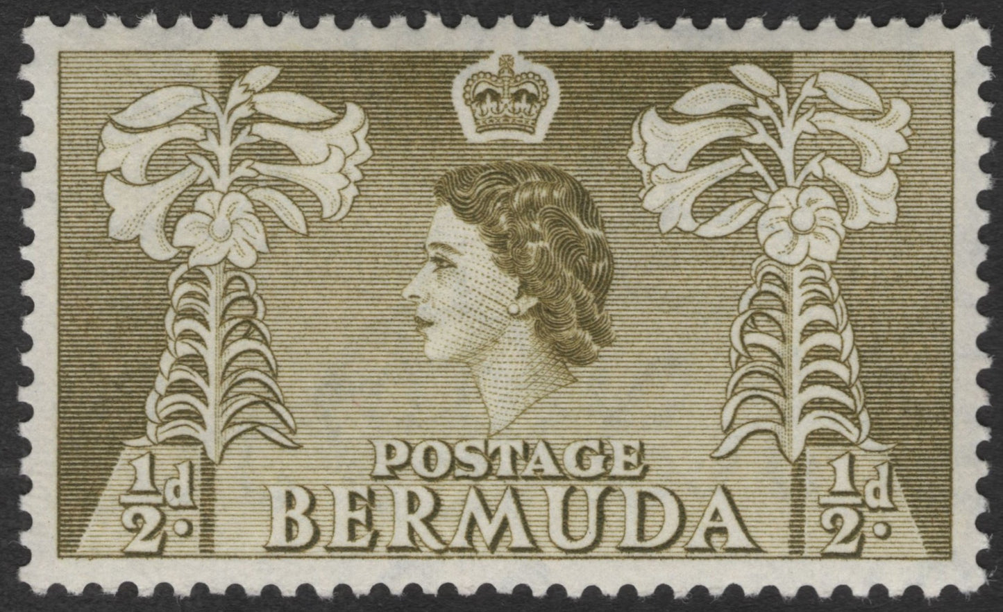 SCG11900 - Bermuda 1½d Queen Elizabeth II Definitive – Hibiscus Design