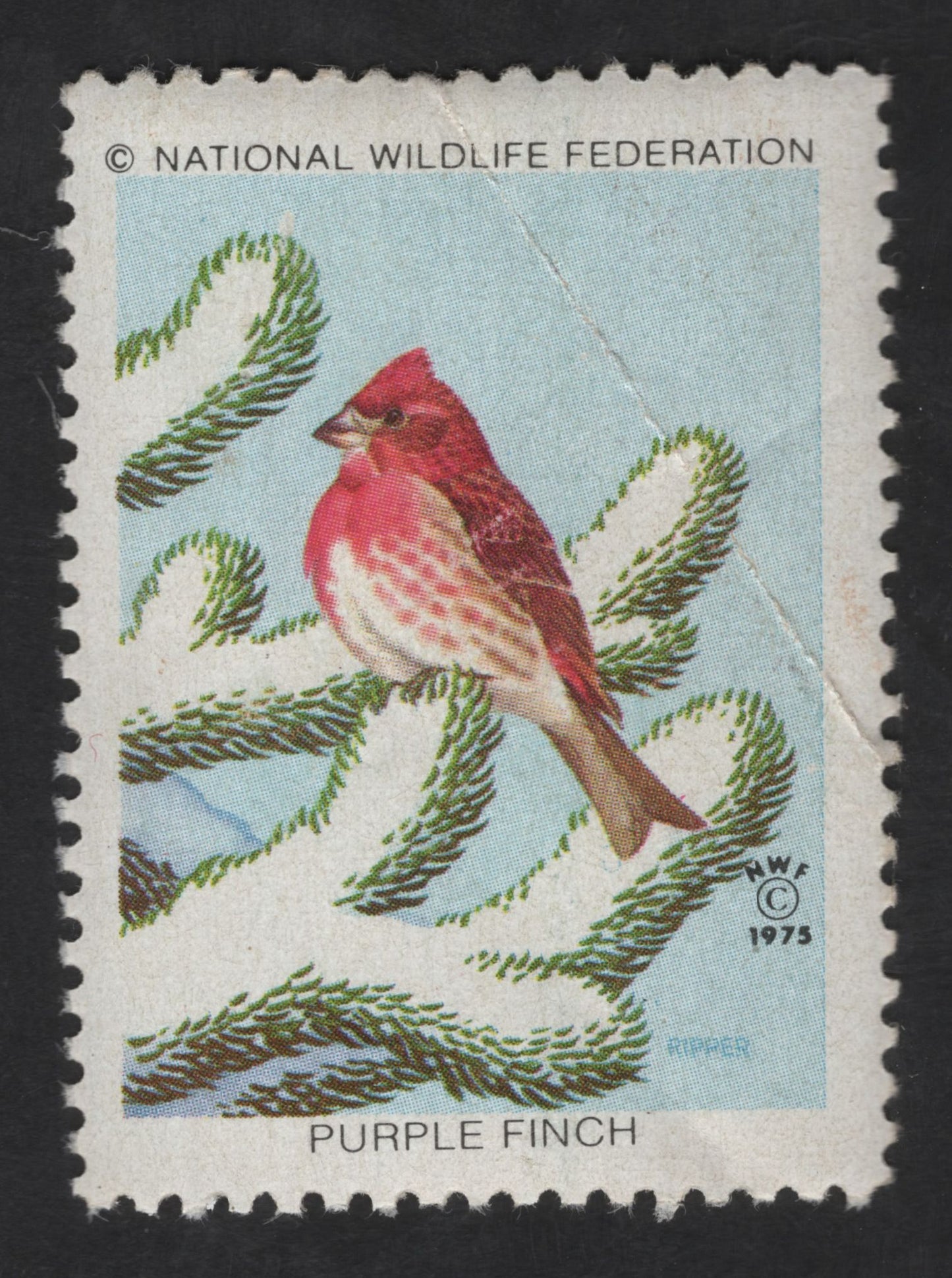 SCG13181 - Purple Finch – National Wildlife Federation Wildlife Conservation Label (1973)