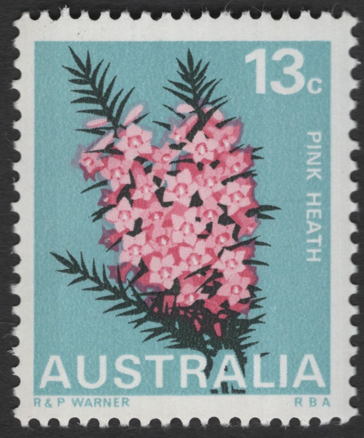 SCG11979 - Australia Native Wildflowers – Kangaroo Paw & Pink Heath