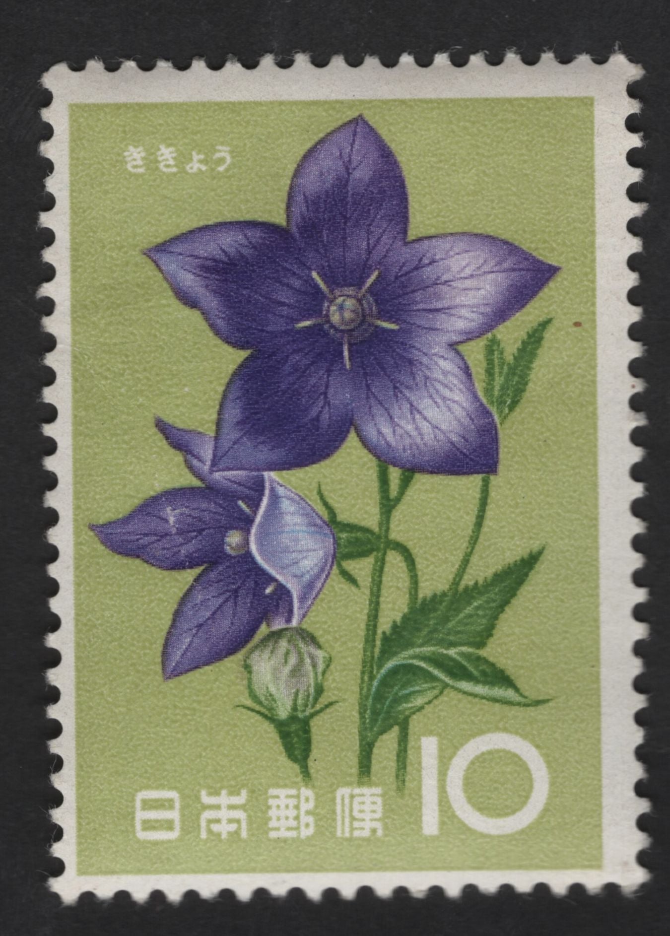SCG13787 - Japan 10 Yen “Kikyō” (Bellflower) Stamp