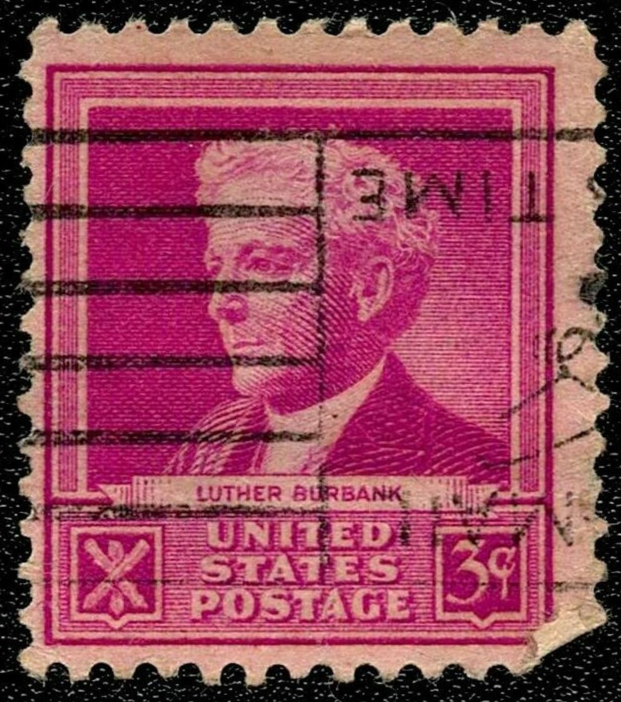 SCG1632 - United States 1940 Luther Burbank 3¢ Stamp